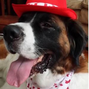 Fundraising Page: Mike Potporski